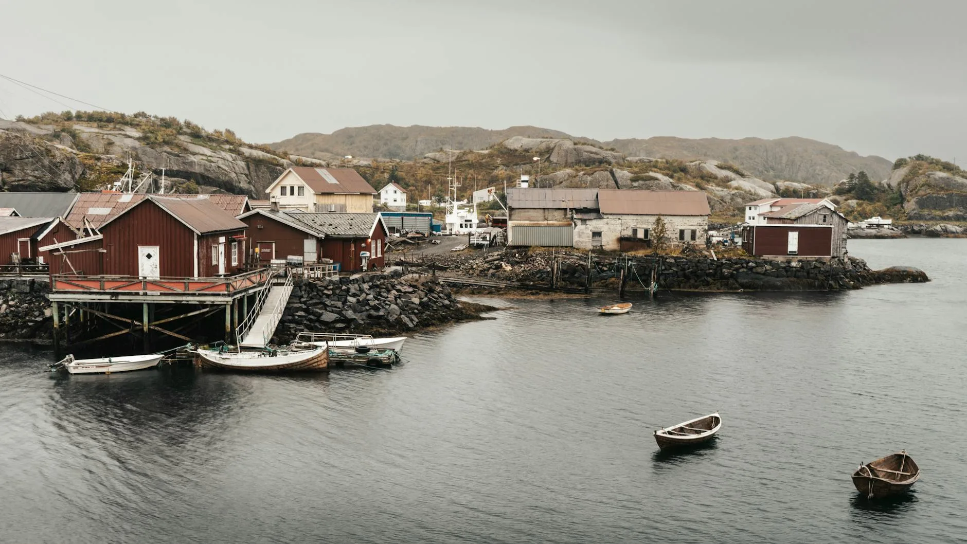 Comment organiser une sortie pêche aux Lofoten
