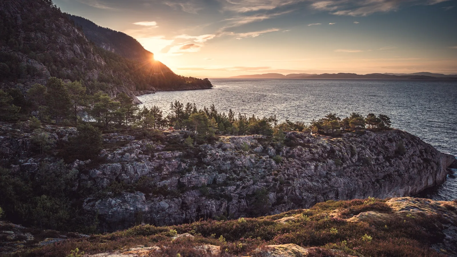 Excursions et nature autour de Trondheim